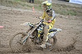 _ROB5598 (Copy)
